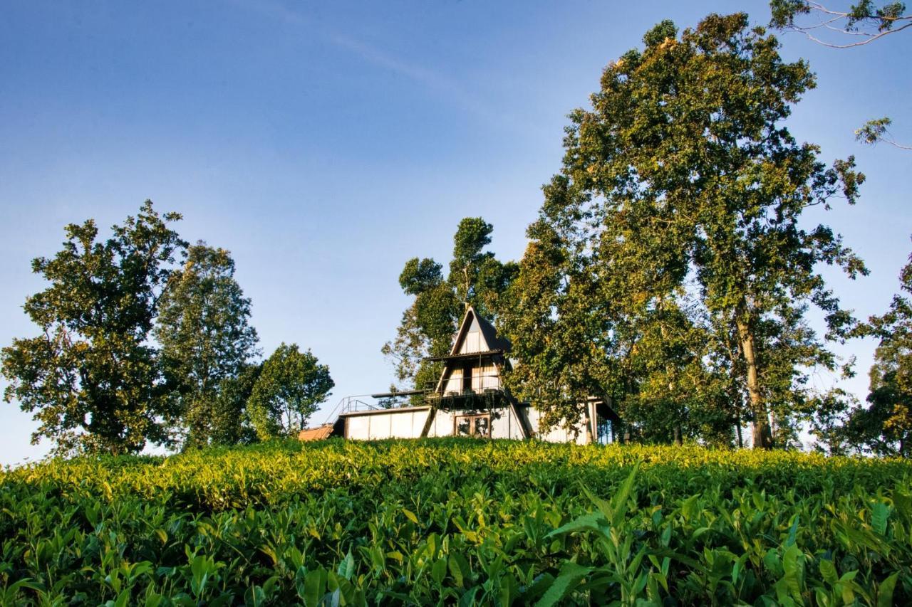 The Backyard Балангода Экстерьер фото